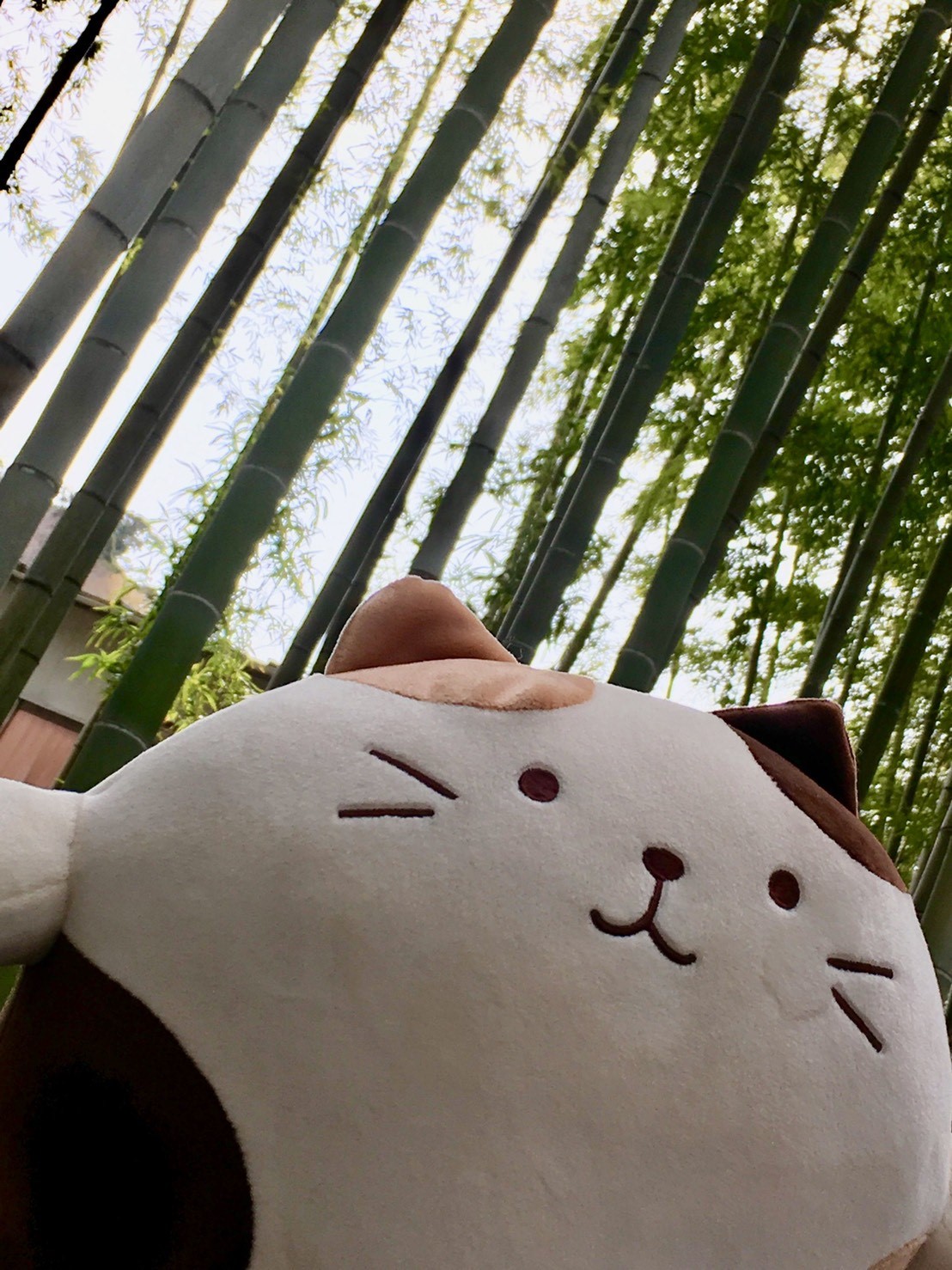 大津 太伸